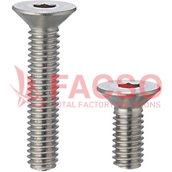 Flat Head Cap Screws/Stainless Steel (Box)