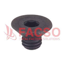Hex Socket Flat Head Cap Bolt, SSS Standard