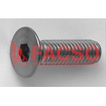 Hex Socket Flat Head Cap Bolt, SSS Standard